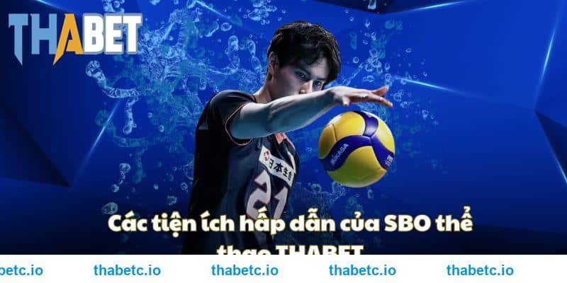 Các tiện ích hấp dẫn của SBO thể thao THABET