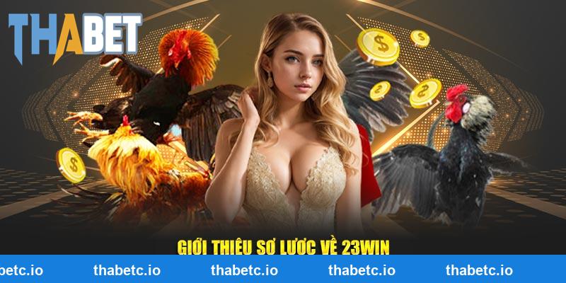 Giới thiệu sơ lược về THABET