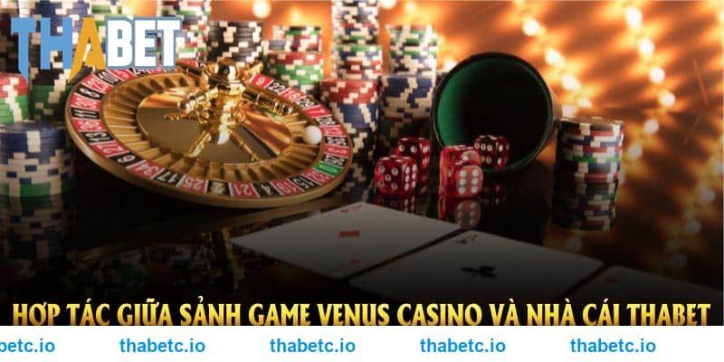 Hợp tác giữa sảnh game Venus casino và nhà cái THABET