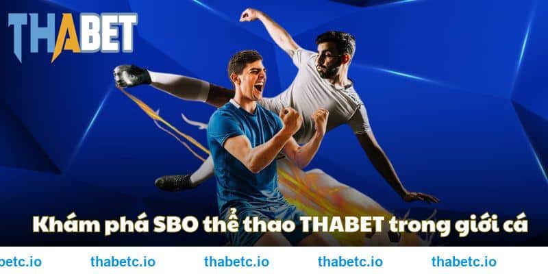 Khám phá SBO thể thao THABET trong giới cá cược