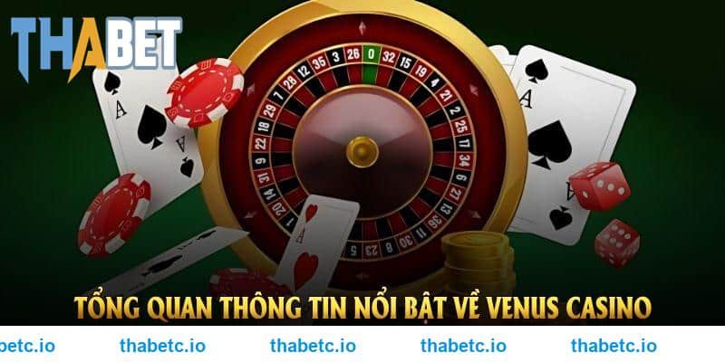 Tổng quan thông tin nổi bật về Venus casino THABET cho người chơi